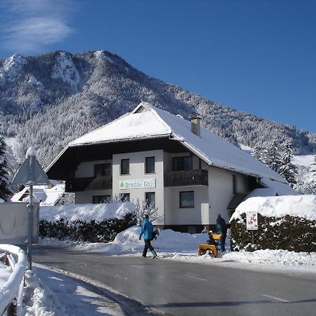 B&B Brezov Gaj Kranjska Gora Exterior photo